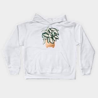 Dracaena Surculosa Kids Hoodie